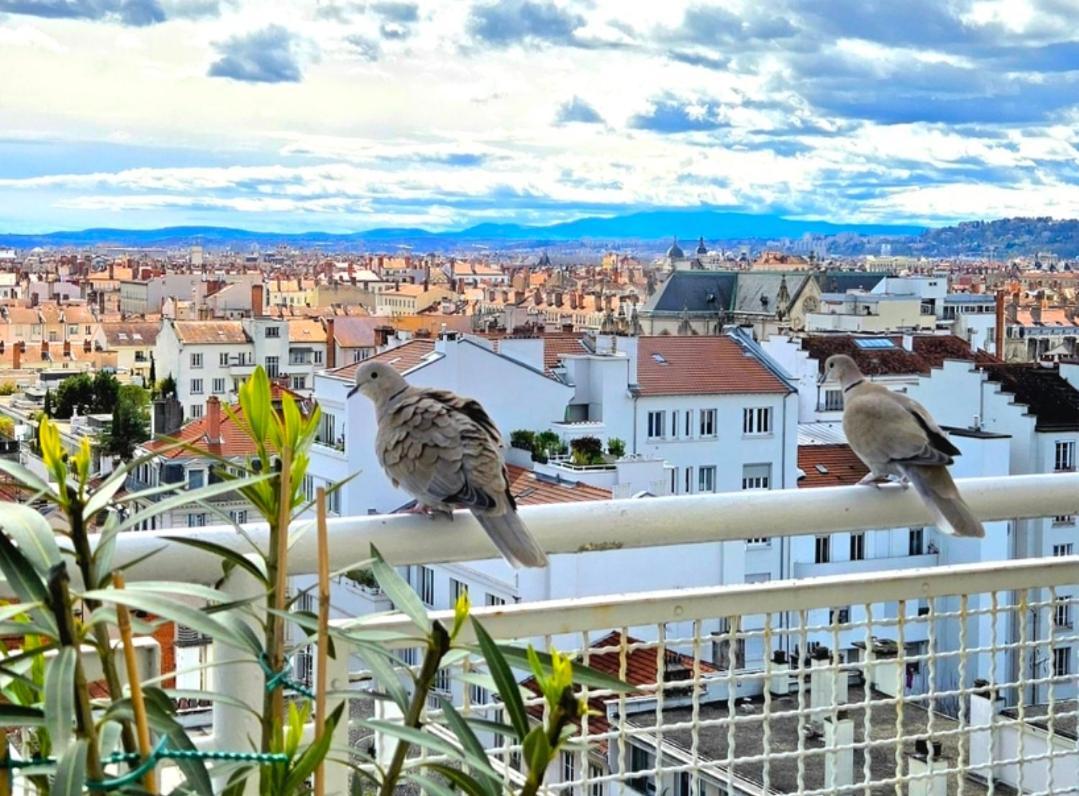 Апартаменти Plein Sud Terrasse Climatisation Garage Netflix Ліон Номер фото